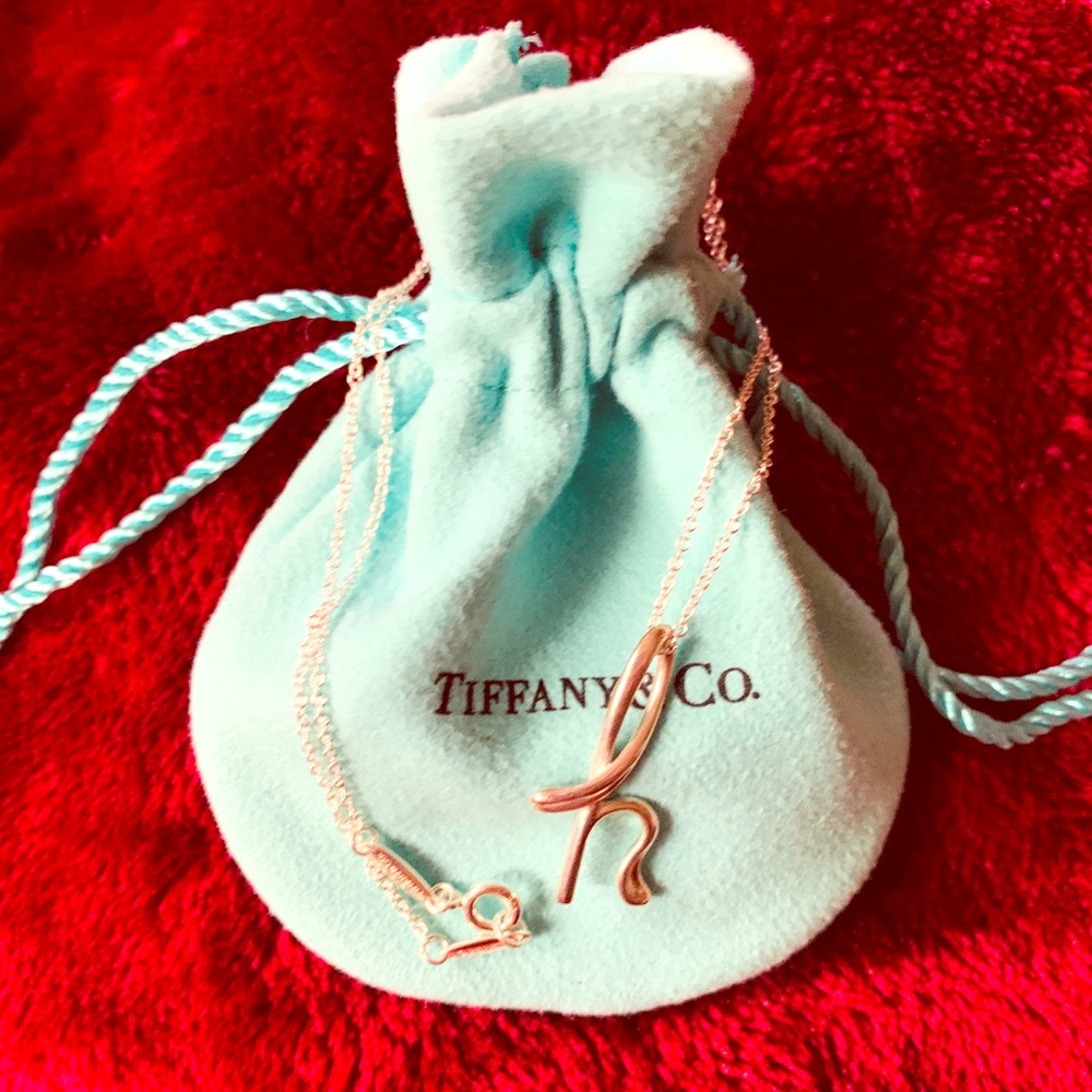 Tiffany initial charm & 16in chain